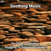 #01 Soothing Music for Sleep, Relaxation, Studying, to Release Blockages