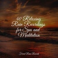 40 Relaxing Rain Recordings for Spa and Meditation