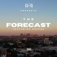 The Forecast