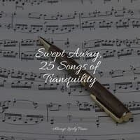 Swept Away, 25 Songs of Tranquility