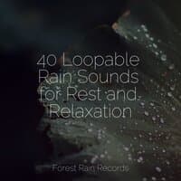 40 Loopable Rain Sounds for Rest and Relaxation