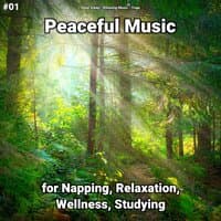 #01 Peaceful Music for Napping, Relaxation, Wellness, Studying