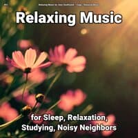 #01 Relaxing Music for Sleep, Relaxation, Studying, Noisy Neighbors