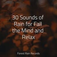 30 Sounds of Rain for Fall the Mind and Relax