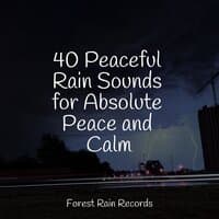 40 Peaceful Rain Sounds for Absolute Peace and Calm