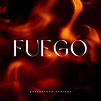 Fuego: Explorando Sonidos