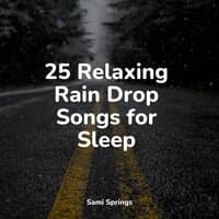 25 Relaxing Rain Drop Songs for Sleep