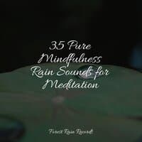 35 Pure Mindfulness Rain Sounds for Meditation