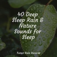 40 Deep Sleep Rain & Nature Sounds for Sleep