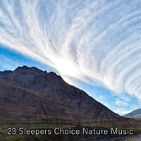 23 Sleepers Choice Музыка природы