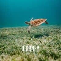 Journey