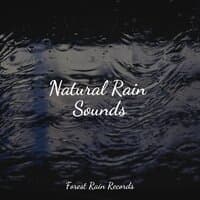 Natural Rain Sounds