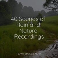 40 Sounds of Rain and Nature Recordings