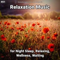 #01 Relaxation Music for Night Sleep, Relaxing, Wellness, Waiting