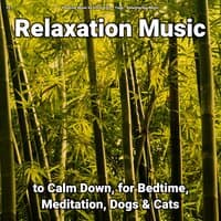 #01 Relaxation Music to Calm Down, for Bedtime, Meditation, Dogs & Cats