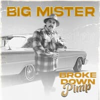 Broke Down Pimp