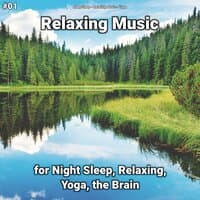 #01 Relaxing Music for Night Sleep, Relaxing, Yoga, the Brain