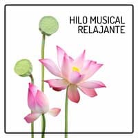 Hilo Musical Relajante