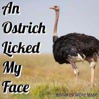 An Ostrich Licked My Face