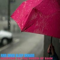 Sleeping to the Sound of Rain