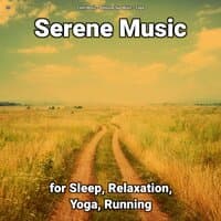 !!!! Serene Music for Sleep, Relaxation, Yoga, Running