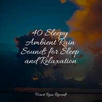 40 Sleepy Ambient Rain Sounds for Sleep and Relaxation