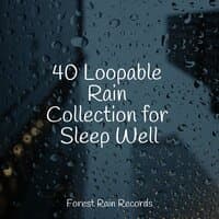 40 Loopable Rain Collection for Sleep Well