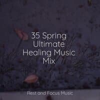 35 Spring Ultimate Healing Music Mix