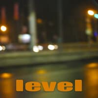 Level