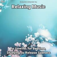 #01 Relaxing Music to Unwind, for Bedtime, Studying, to Release Sadness