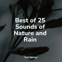 Best of 25 Sounds of Nature and Rain