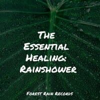 The Essential Healing: Rainshower