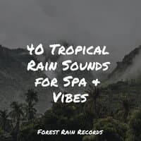 40 Tropical Rain Sounds for Spa & Vibes