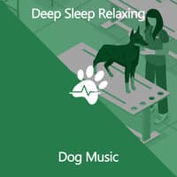 Deep Sleep Relaxing Dog Music: Calming Music for Dogs, Separation Anxiety, De-Stress & Relax Your Dog