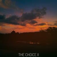 The Choice II