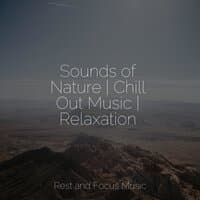 Sounds of Nature | Chill Out Music | Relaxation