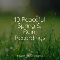 40 Peaceful Spring & Rain Recordings