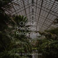 Chillout Melodies | Relaxation