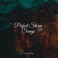 Perfect Storm Songs