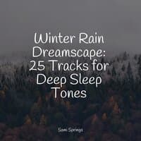 Winter Rain Dreamscape: 25 Tracks for Deep Sleep Tones