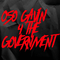 4 The Government