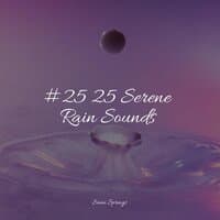 #25 25 Serene Rain Sounds