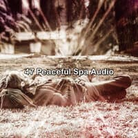 47 Peaceful Spa Audio