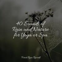 40 Sounds of Rain and Nature for Yoga or Spa