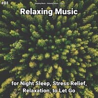 #01 Relaxing Music for Night Sleep, Stress Relief, Relaxation, to Let Go