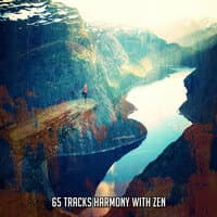 65 Tracks Harmony With Zen