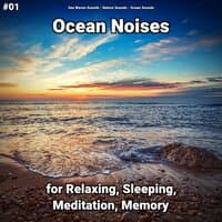 #01 Ocean Noises for Relaxing, Sleeping, Meditation, Memory