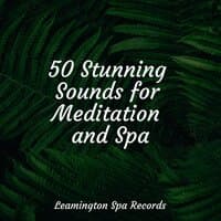 50 Stunning Sounds for Meditation and Spa