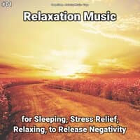 #01 Relaxation Music for Sleeping, Stress Relief, Relaxing, to Release Negativity