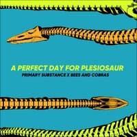 Plesiosaur